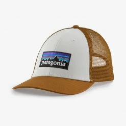 Patagonia P-6 Logo LoPro Trucker