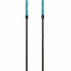 Asnes Nansen 2-Section Alloy /Carbon Poles