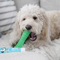 Bristly Prebiotic Toothpaste