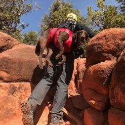 Fido Pro Airlift Pets