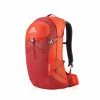 Gregory Citro 30 Backpacks & Duffels