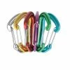 Edelrid Nineteen G Sixpack Non-locking Carabiners