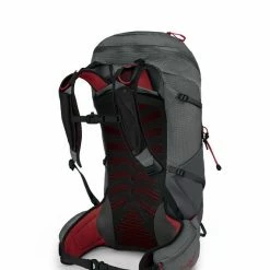 Backpacks & Duffels Osprey Talon Pro 30 Mens Pack
