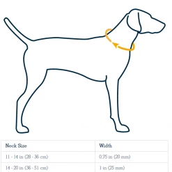 Best reviews of ✨ Ruffwear Crag 🐶 Dog Collar Pets 👏 9 Ruffwear Crag Dog Collar Pets