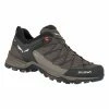 Footwear Salewa Mountain Trainer Lite GTX Men's