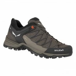 Footwear Salewa Mountain Trainer Lite GTX Men's