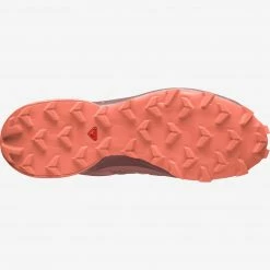 Footwear Salomon Speedcross 5 Women's