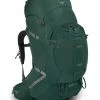Backpacks & Duffels Osprey Aether Plus 85 Men's