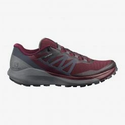 Footwear Salomon Women's Sense Ride 4