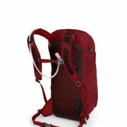 Backpacks & Duffels Osprey Skarab 22 Men's